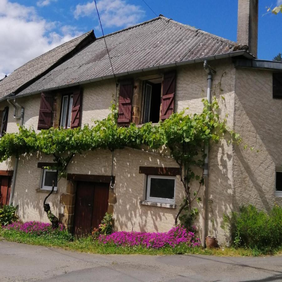 Maison Familiale Coteaux De La Vezere Voutezac Exterior foto